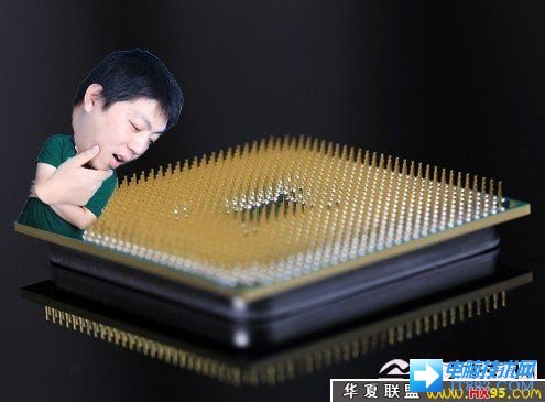 “哇尻！这AMD处理器下面全是一根一根的针啊！” 