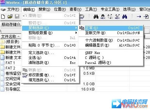 WinHex(16进制编辑器)v17.3绿色中文破解版