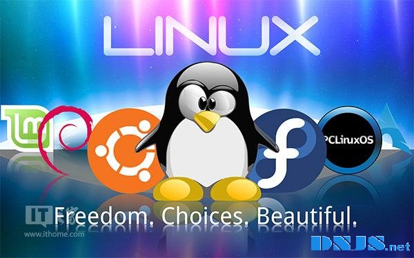 看看国外最流行的Linux系统版本