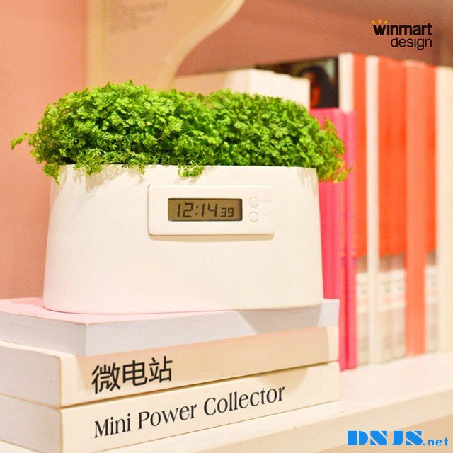 史上最绿色的电器 Winmart植物电能闹钟 