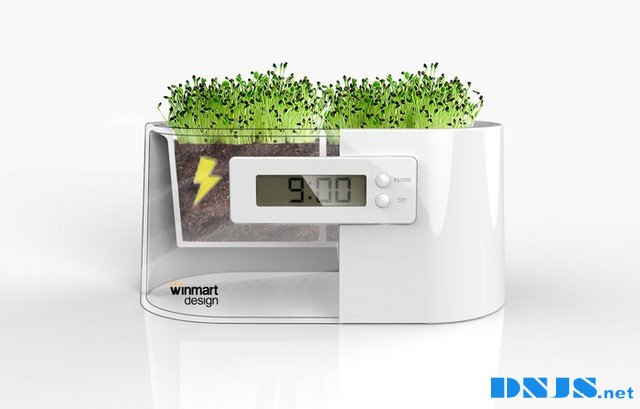史上最绿色的电器 Winmart植物电能闹钟 