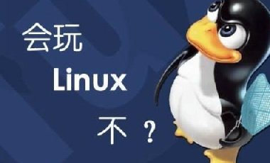 为何我们要选择Linux系统